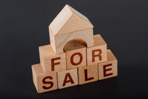 Patrícia Roxo agente imobiliária