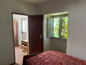 Patrícia Roxo agente imobiliária