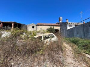 Patrícia Roxo agente imobiliária