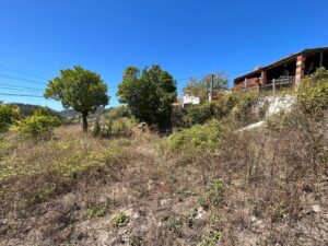 Patrícia Roxo agente imobiliária