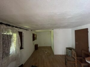 Patrícia Roxo agente imobiliária