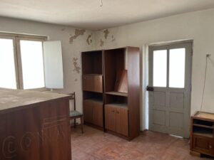 Patrícia Roxo agente imobiliária