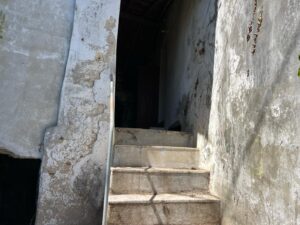 Patrícia Roxo agente imobiliária