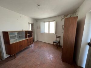 Patrícia Roxo agente imobiliária