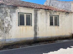 Patrícia Roxo agente imobiliária