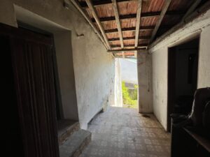 Patrícia Roxo agente imobiliária