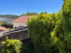 Patrícia Roxo agente imobiliária