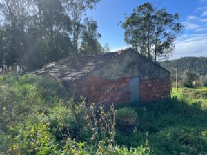 Patrícia Roxo agente imobiliária