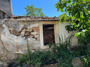 Patrícia Roxo agente imobiliária