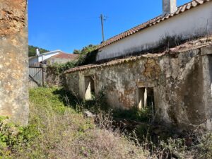 Patrícia Roxo agente imobiliária