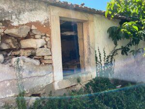 Patrícia Roxo agente imobiliária