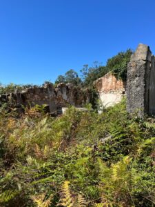 Patrícia Roxo agente imobiliária