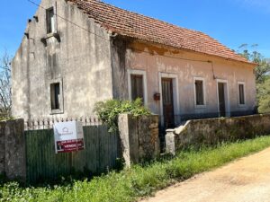 Patrícia Roxo agente imobiliária