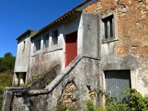 Patrícia Roxo agente imobiliária